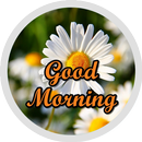 Good Morning Flowers Stickers APK