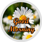 Good Morning Flowers Stickers icon