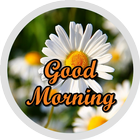 Good Morning Flowers Stickers icono