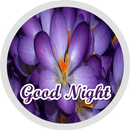 Good Night Flowers Stickers APK