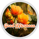 Good Afternoon Flowers Sticker aplikacja