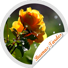 Stickers Buenas Tardes Flores icône