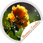 Stickers Buenas Tardes Flores أيقونة