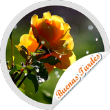 Stickers Buenas Tardes Flores icône