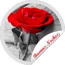 Stickers Buenas Noches Flores APK