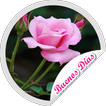 ”Stickers de Buenos dias Flores