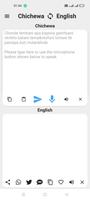 Nyanja To English Translator-poster
