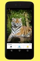 Animals Images ภาพหน้าจอ 2