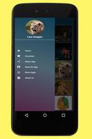Lion Images Affiche