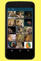 Lion Images capture d'écran 1