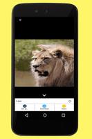 Lion Images capture d'écran 2
