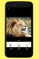 Lion Images capture d'écran 3