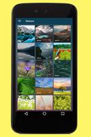 Nature Images screenshot 1