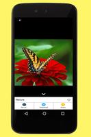 Nature Images screenshot 2
