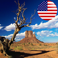In Sight - USA