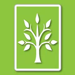 힐링 타로 : 힘들 때 위로가 되는 타로 APK download
