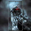 Birds Wallpapers HD - 4K APK