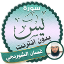 سورة يس كاملة بدون نت غسان الشوربجي APK