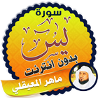 surah yasin full maher al mueaqly Offline icon