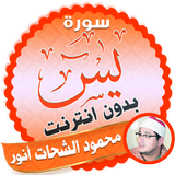 surah yasin full mahmood shahat Offline icon