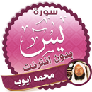 سورة يس كاملة بدون نت الشيخ محمد ايوب APK