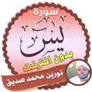 surah yasin full Nourin Mohamed Seddik Offline APK