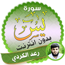 surah yasin full raad al kurdi Offline APK