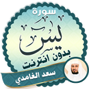 surah yasin full Saad Al Ghamidi Offline APK