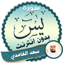 APK surah yasin full Saad Al Ghamidi Offline