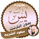 surah yasin full saud al shuraim Offline APK