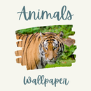 Animals APK