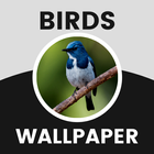 Birds simgesi