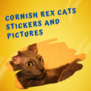Cornish Rex Cats Stickers APK