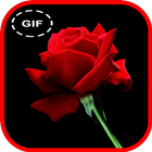 Animierte GIF-Sammlung mit Blumen und Rosen Zeichen