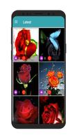 Animierte GIF-Sammlung mit Blumen und Rosen Plakat