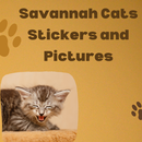 Savannah Cats Stickers APK
