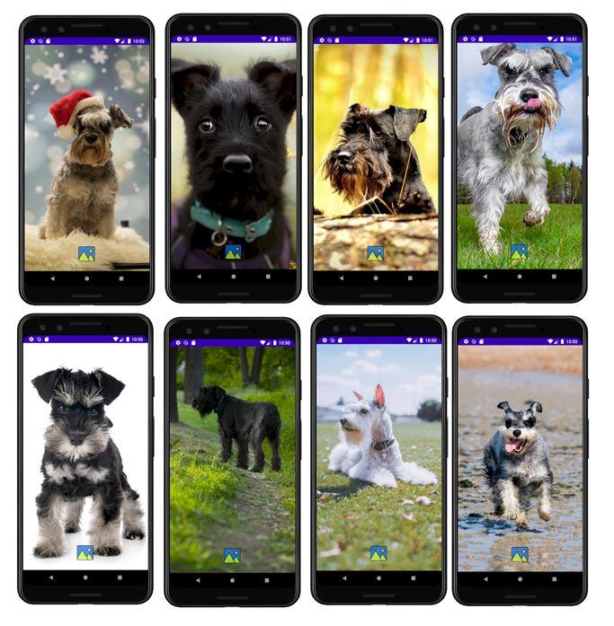 Descarga de APK de Fondos de Pantalla de Perros S para Android Descarga de APK de Fondos de Pantalla de Perros S para Android