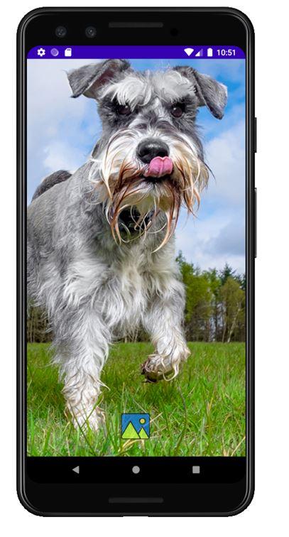 Fondos de Pantalla de Perros S APK for Android Download Fondos de Pantalla de Perros S APK for Android Download