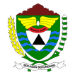 MEDALI
