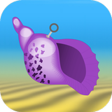 The Conch Shell - Magic Answers and Decisions icon