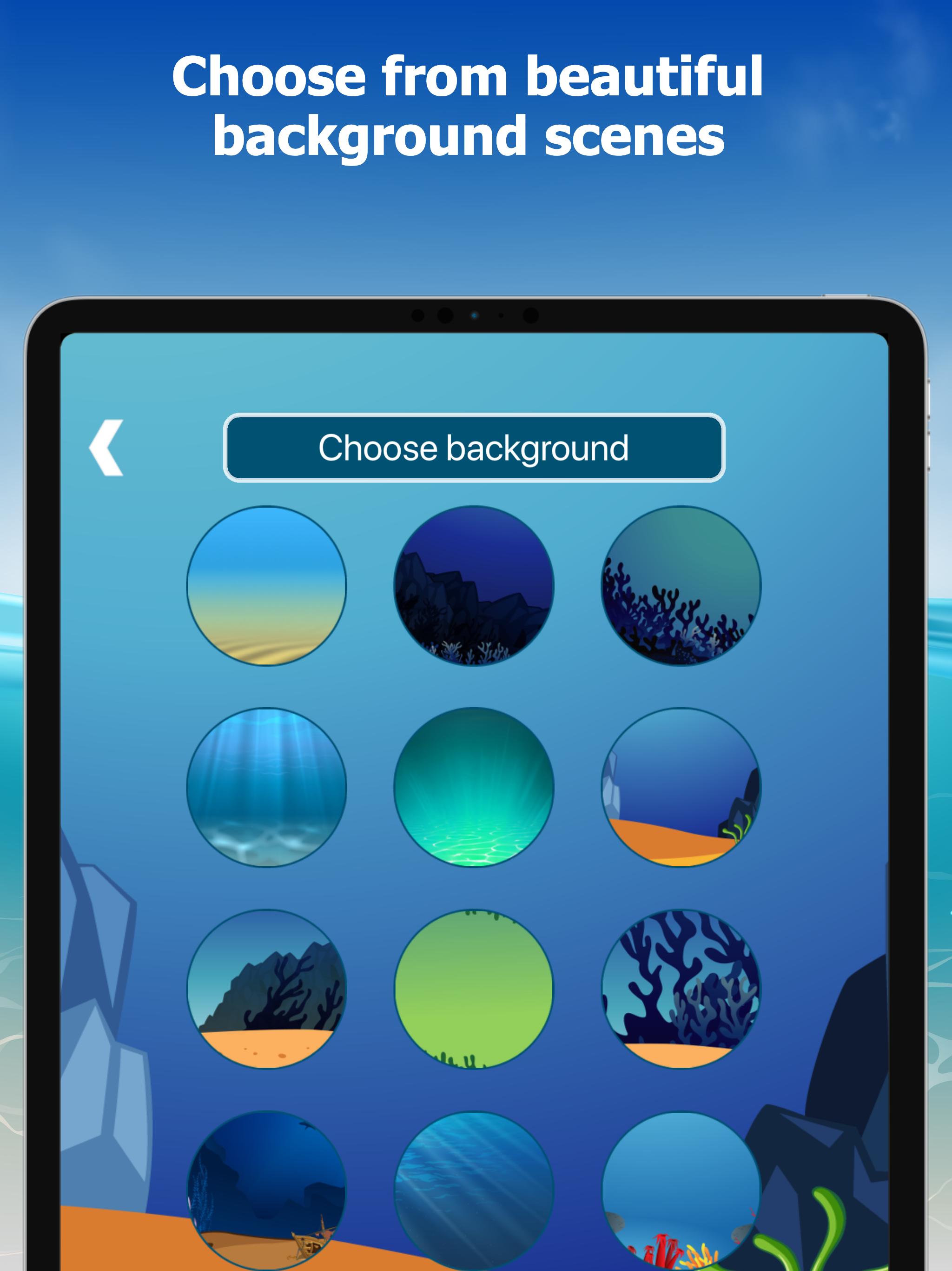 Conch Shell Sound Mp3 Free Download