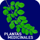 Plantas Medicinales y Sus Usos Gratis APK