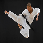 Karate Martial Arts-icoon