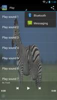 Zebra sounds screenshot 2