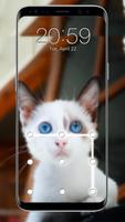 serrure à motif de chat capture d'écran 2