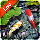 peces de pantalla en vivo icono