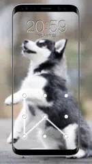 Puppy Dog Lock Screen XAPK download