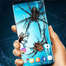 Spider On Screen Lock APK