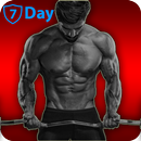 Seven Days Workout aplikacja