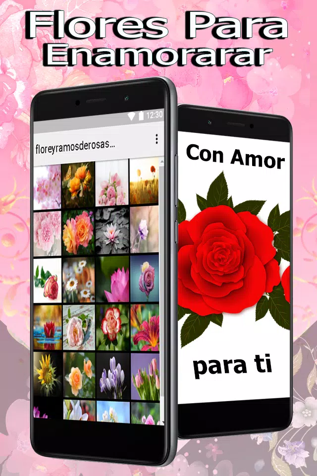 Flores y Ramos De Rosas Para Mi Novia Gratis APK pour Android Télécharger Flores y Ramos De Rosas Para Mi Novia Gratis APK pour Android Télécharger